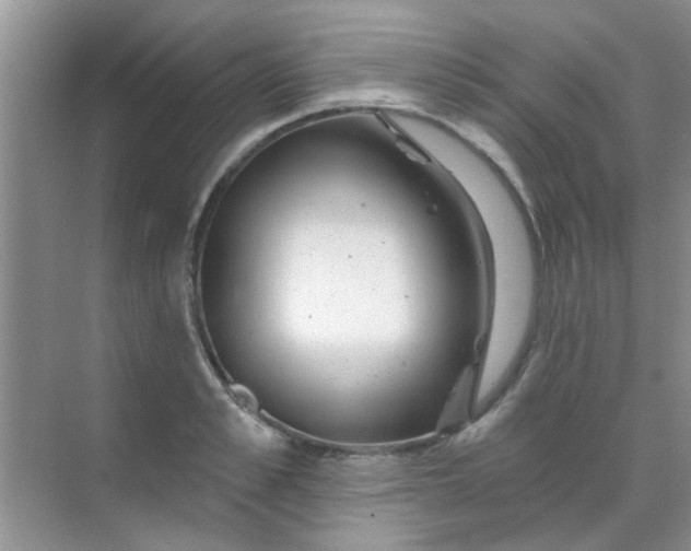 X0000070240989200606161841