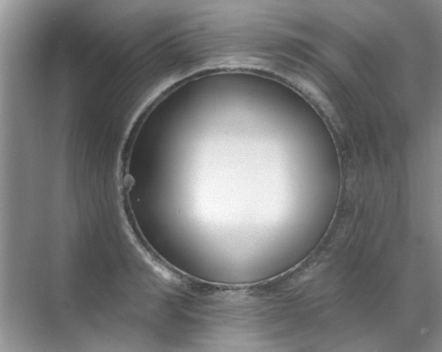 X0000070240990200606161841