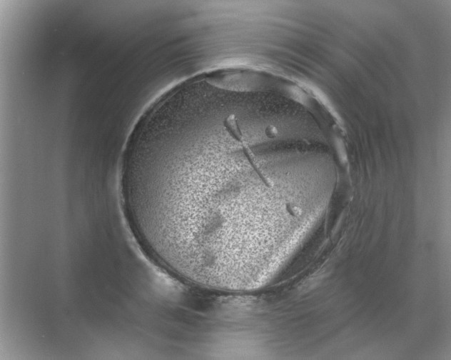 X0000070240991200606161841