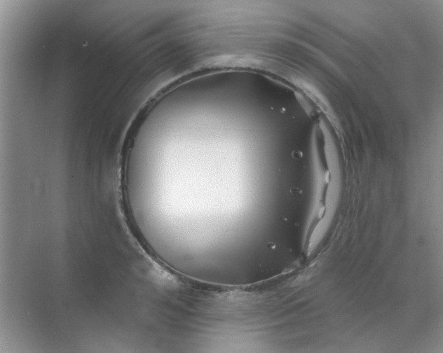 X0000070240992200606161841