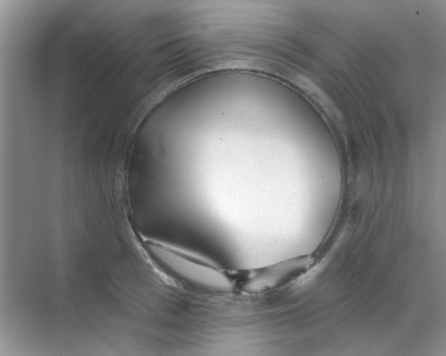 X0000070240993200606161841