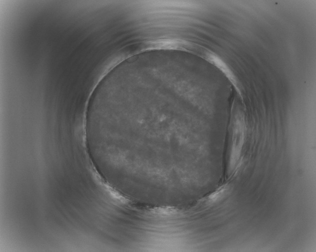 X0000070240994200606161841