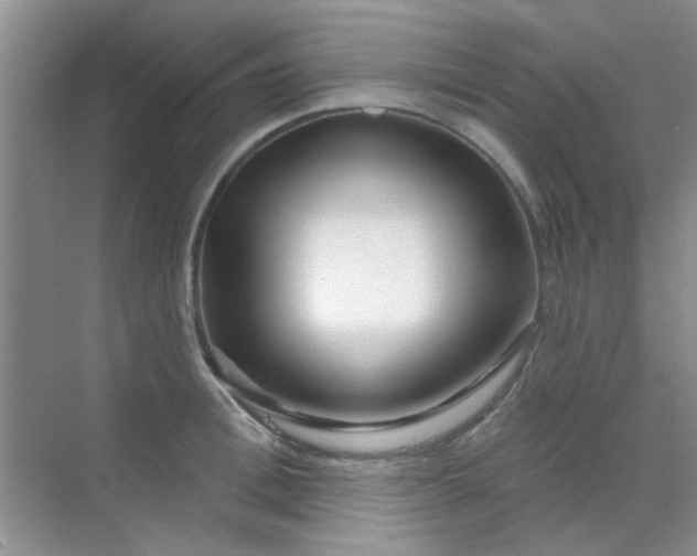 X0000070240996200606161841