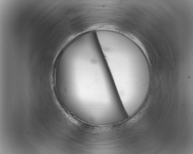 X0000070240997200606161841