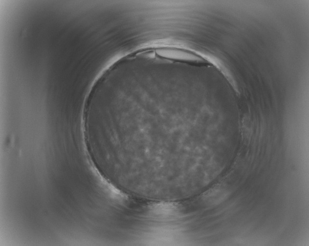 X0000070240998200606161841