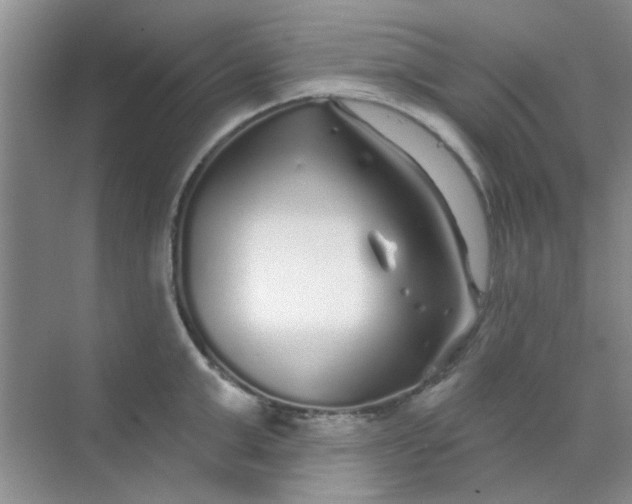 X0000070240999200606161841