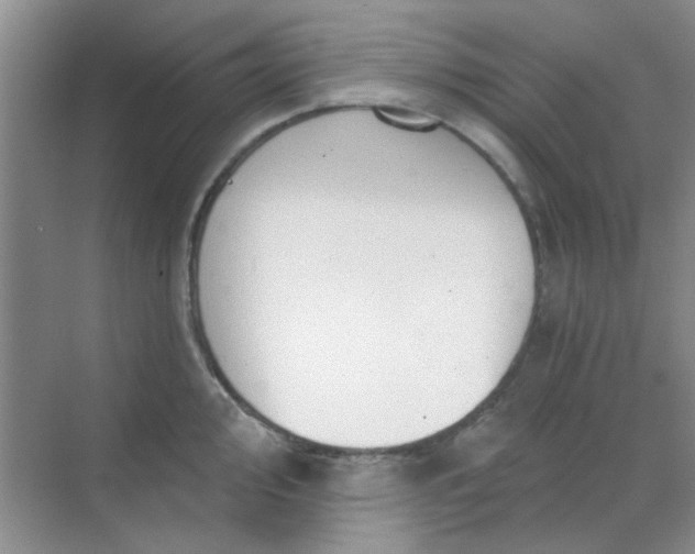 X0000070241000200606161841