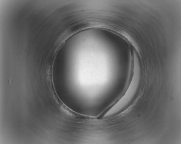 X0000070241001200606161841