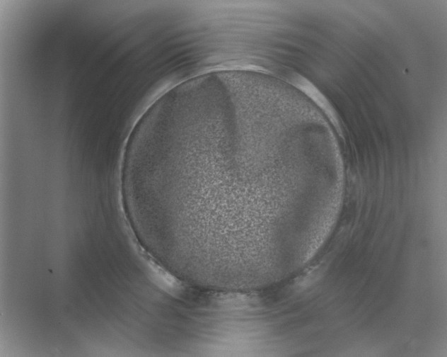 X0000070241002200606161841