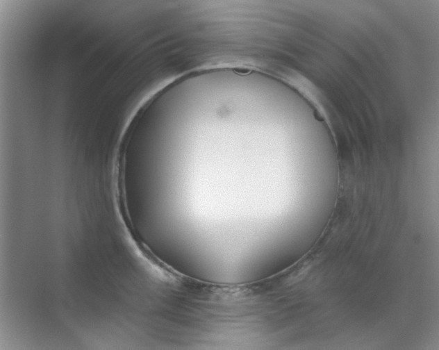 X0000070241003200606161841