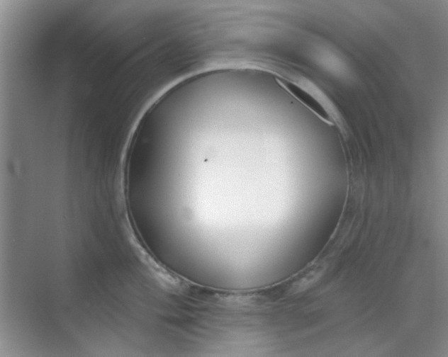 X0000070241004200606161841