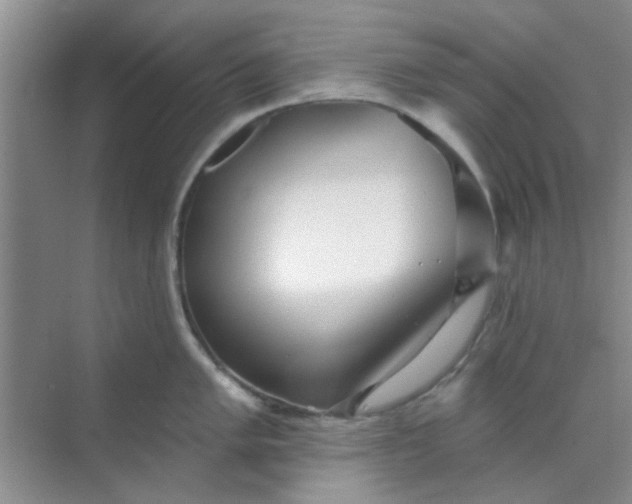 X0000070241005200606161841