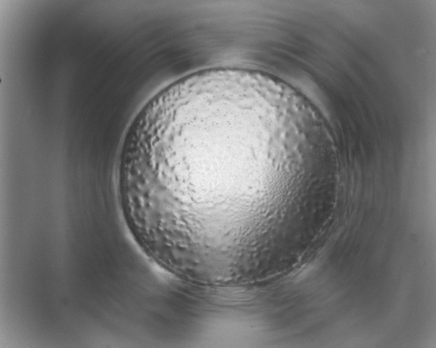 X0000070241007200606161841