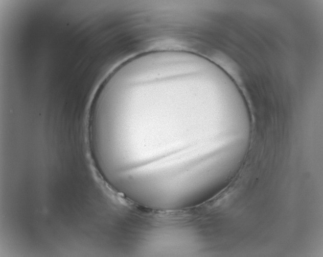 X0000070241008200606161841