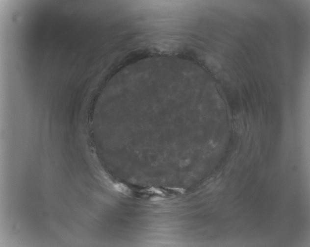 X0000070241009200606161840