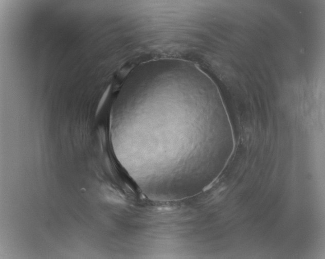 X0000070241010200606161840