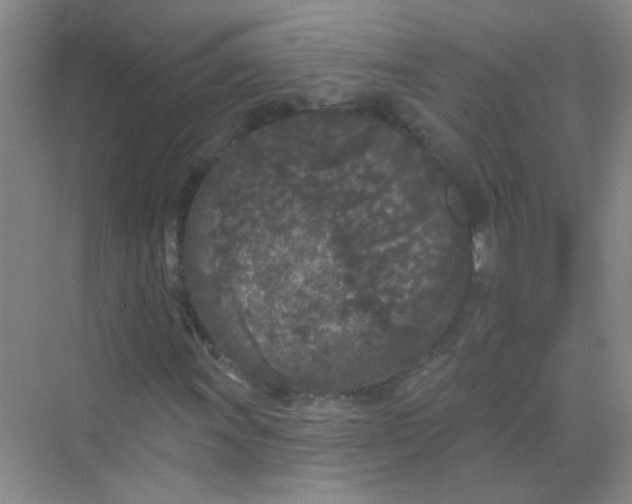 X0000070241011200606161840