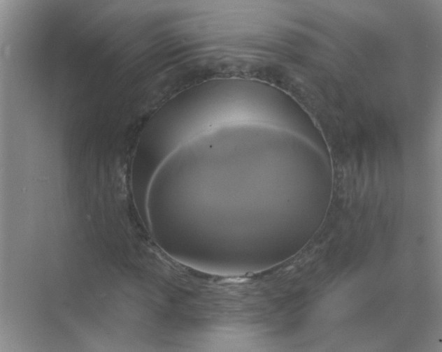 X0000070241013200606161840