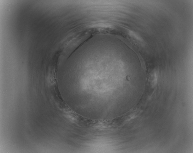 X0000070241014200606161840