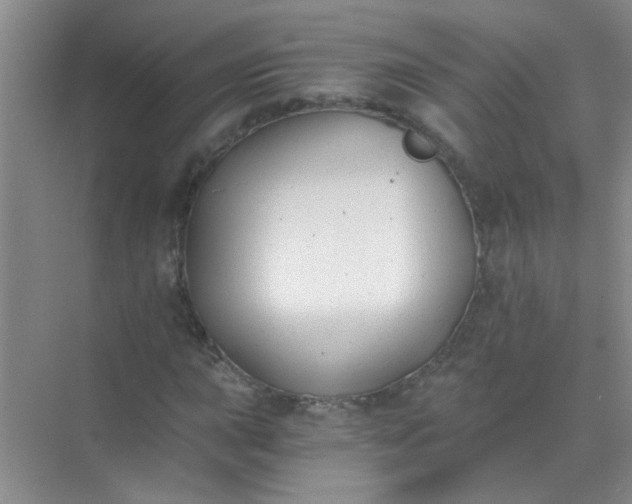 X0000070241015200606161840