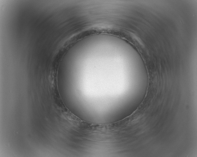 X0000070241016200606161840