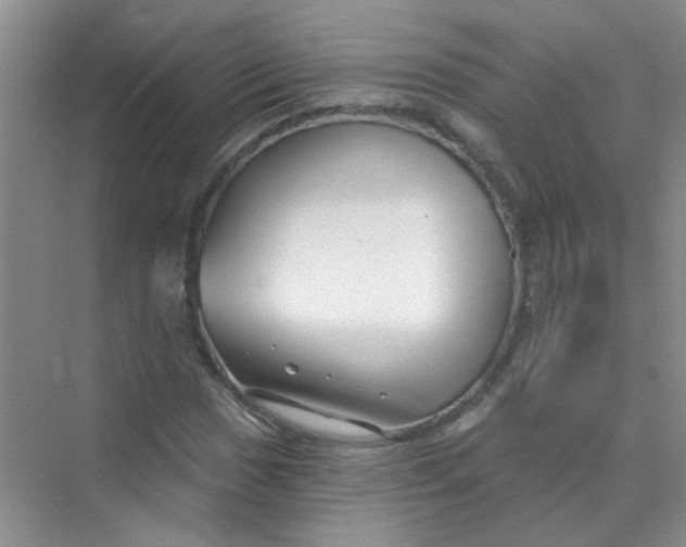 X0000070241017200606161840