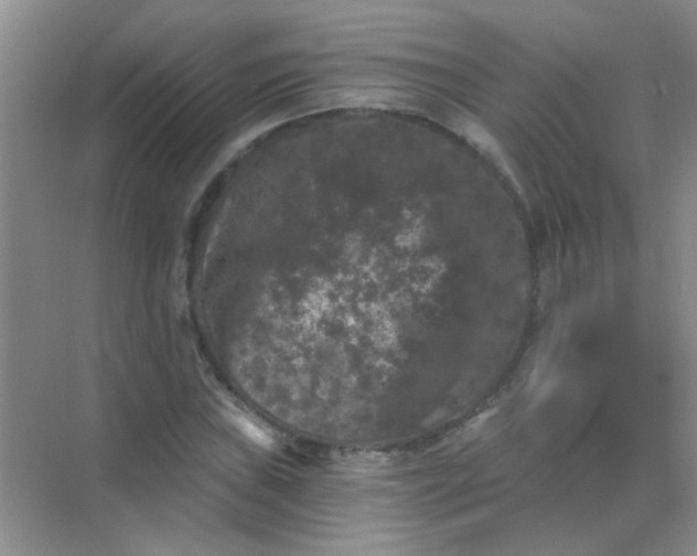 X0000070241019200606161840