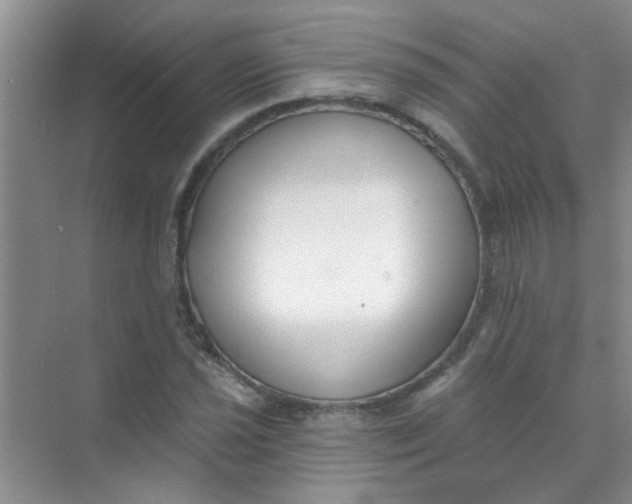 X0000070241021200606161840