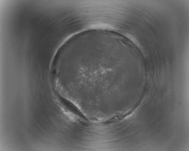 X0000070241022200606161840