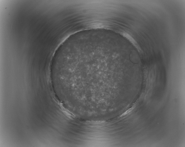 X0000070241023200606161840