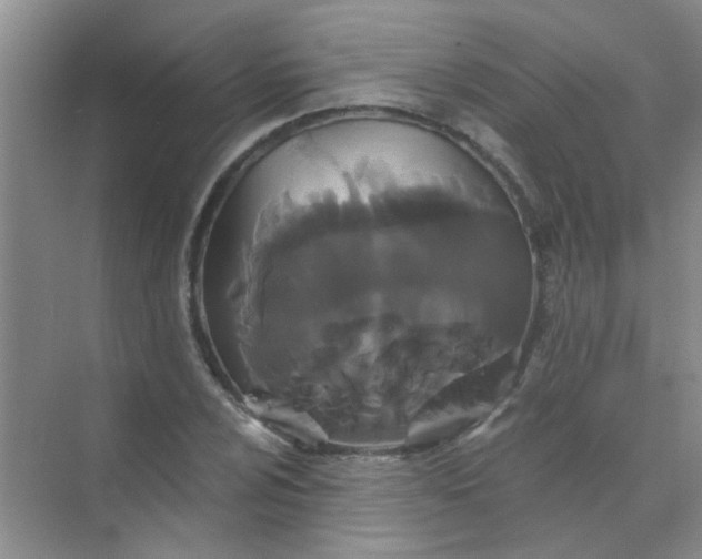 X0000070241024200606161840