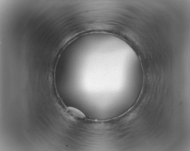 X0000070241025200606161840