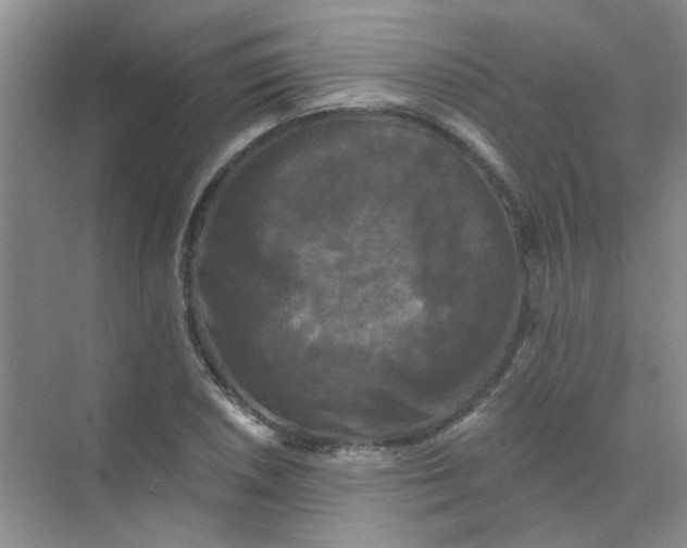 X0000070241026200606161840