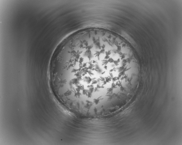 X0000070241028200606161840