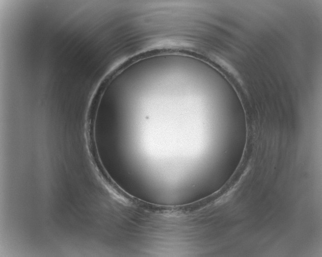 X0000070241029200606161840