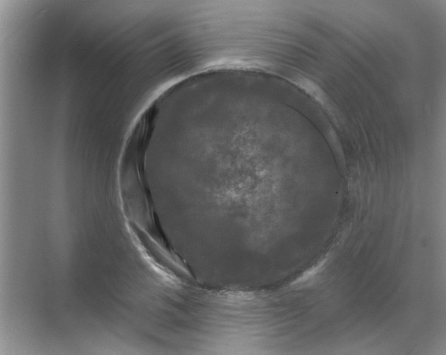 X0000070241030200606161840