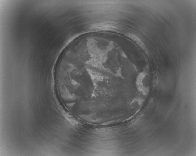 X0000070241031200606161840