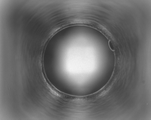 X0000070241033200606161840