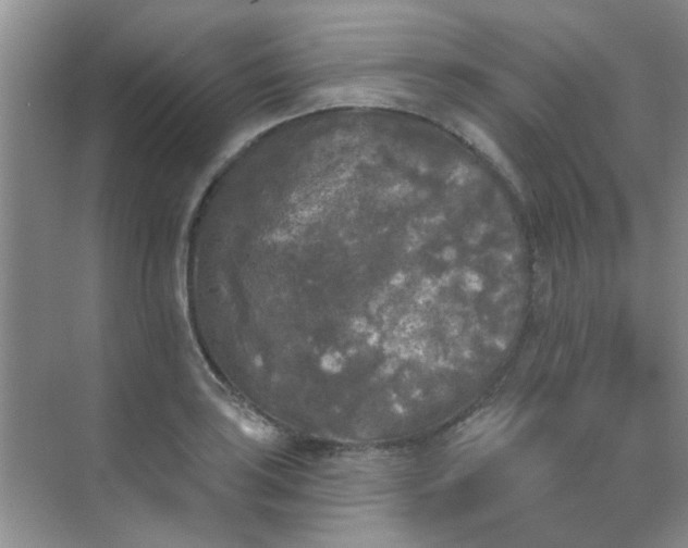 X0000070241035200606161840