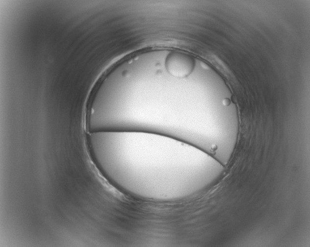 X0000070241036200606161840