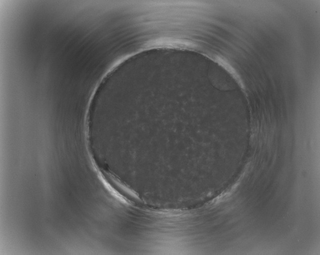 X0000070241037200606161840