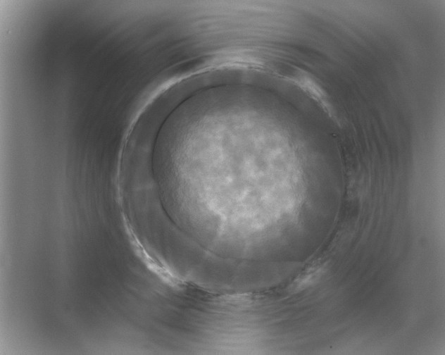 X0000070241038200606161840