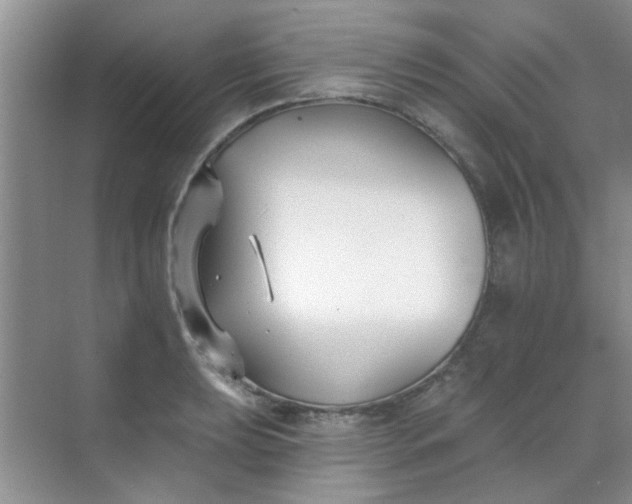 X0000070241039200606161840