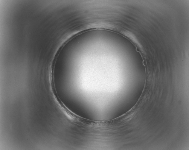 X0000070241040200606161840