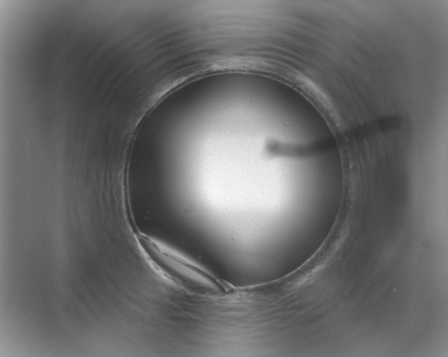 X0000070241041200606161840