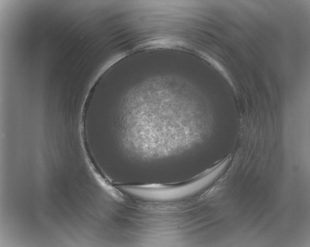 X0000070241042200606161840