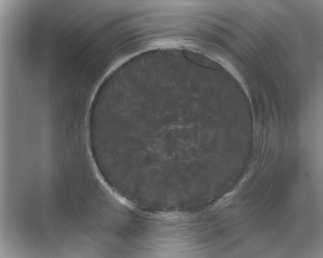 X0000070241045200606161841