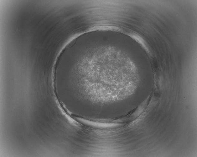 X0000070241046200606161841