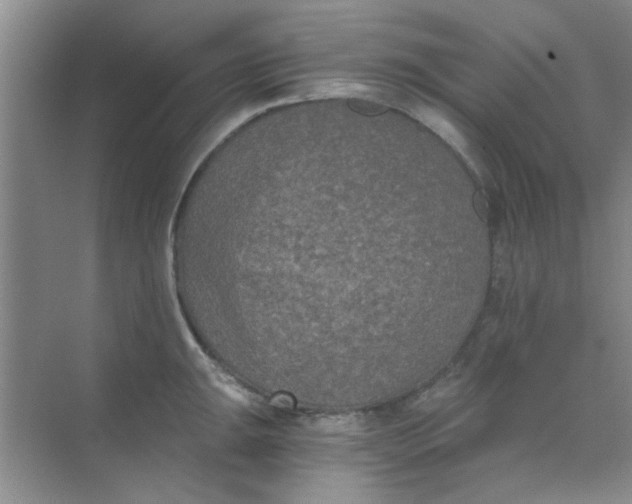 X0000070241047200606161841