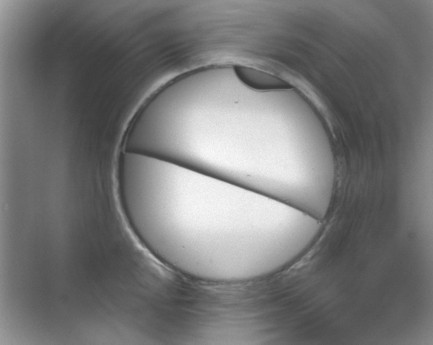 X0000070241048200606161841